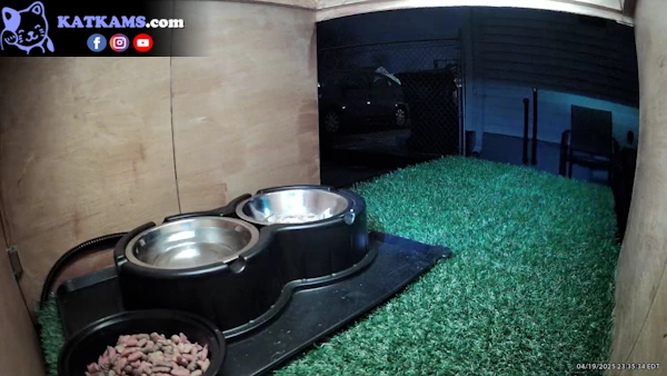 Feeding Station at Night