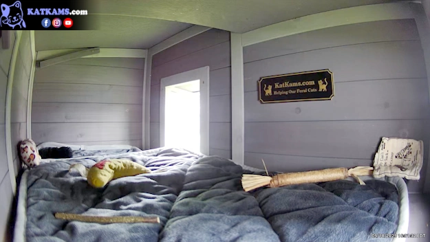 KatKams Cat House Interior